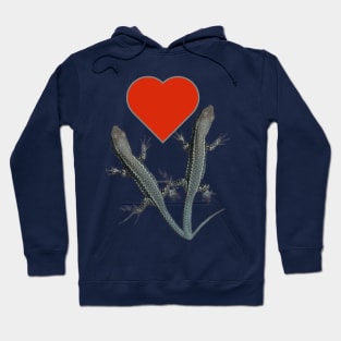 Lizards Hoodie